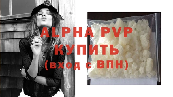 крисы Надым