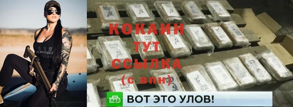 крисы Надым