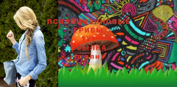 крисы Надым