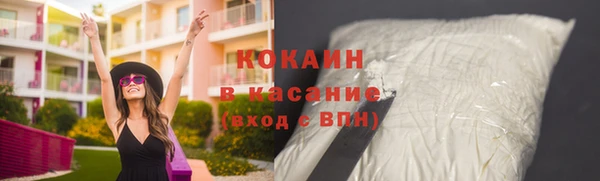 крисы Надым