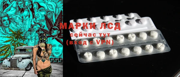 крисы Надым