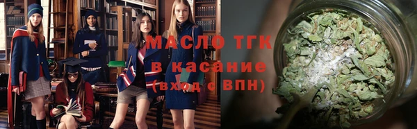крисы Надым