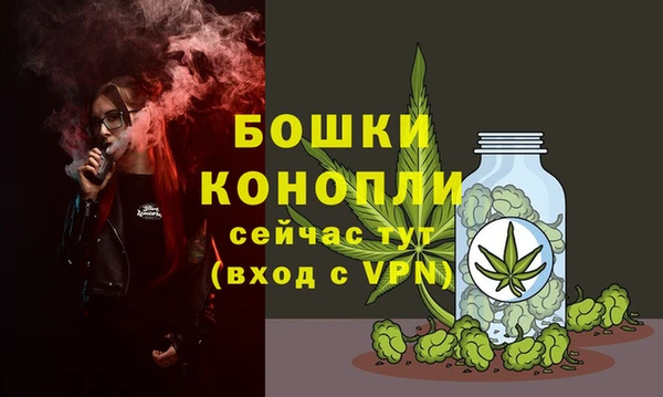 крисы Надым